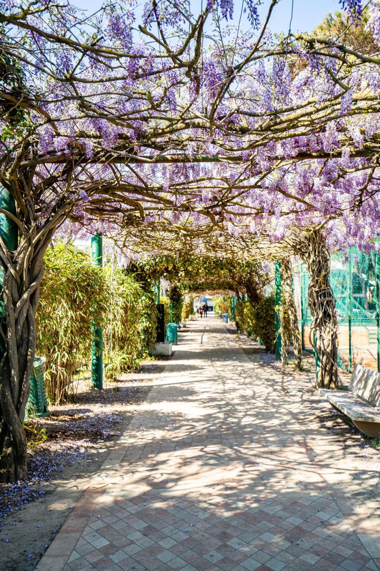 Marepineta Resort Milano Marittima Dış mekan fotoğraf